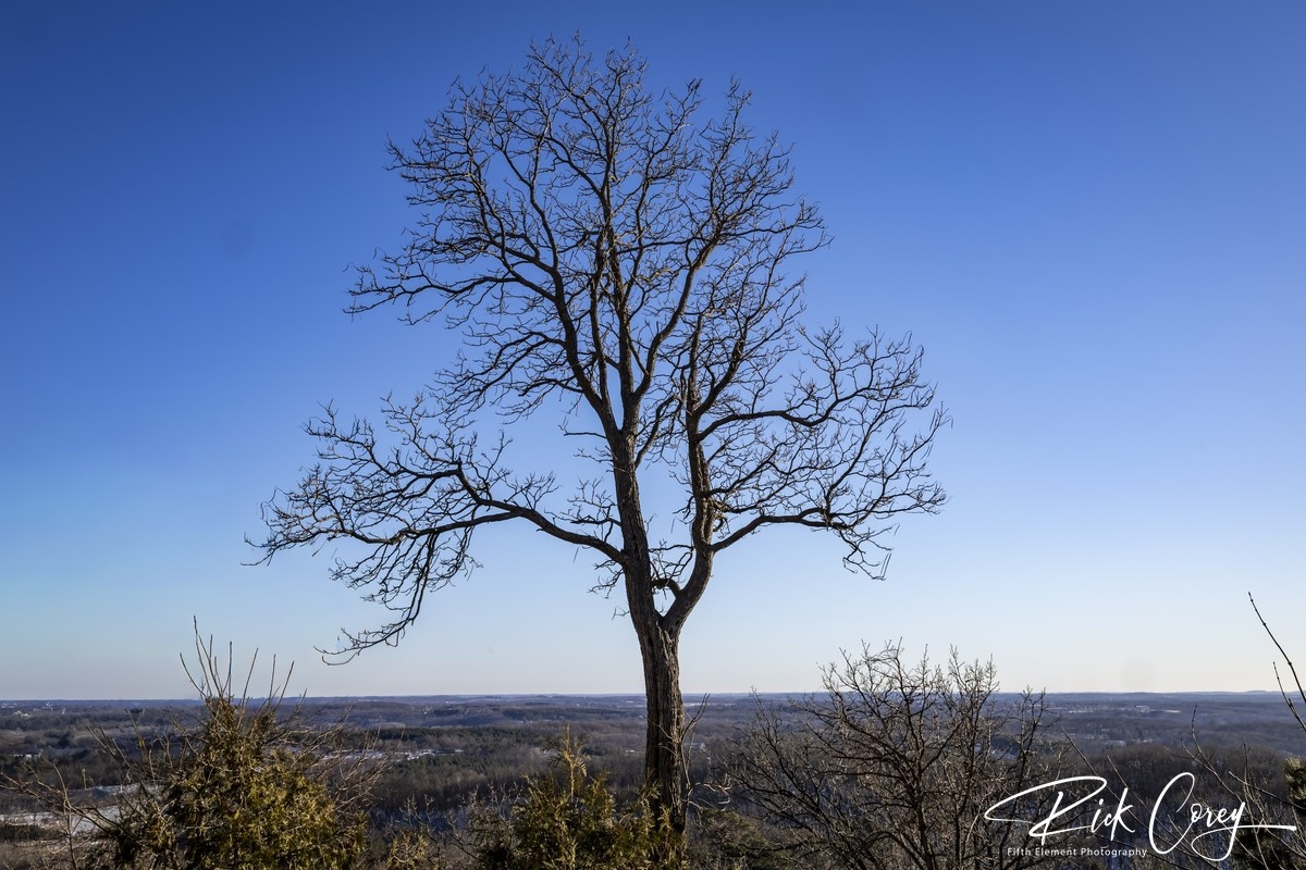 The Spirit of the High Plains