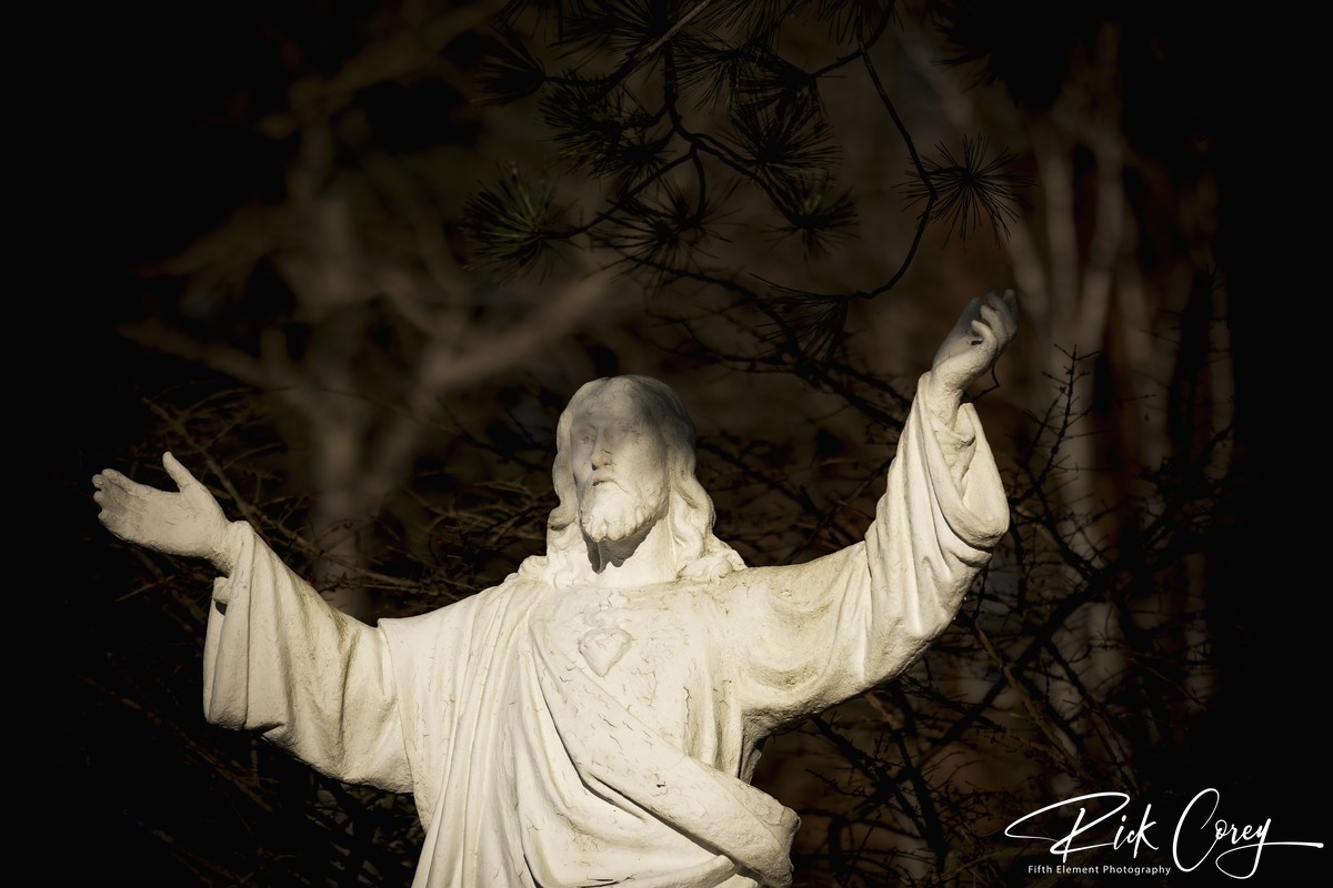 Light in the Shadows