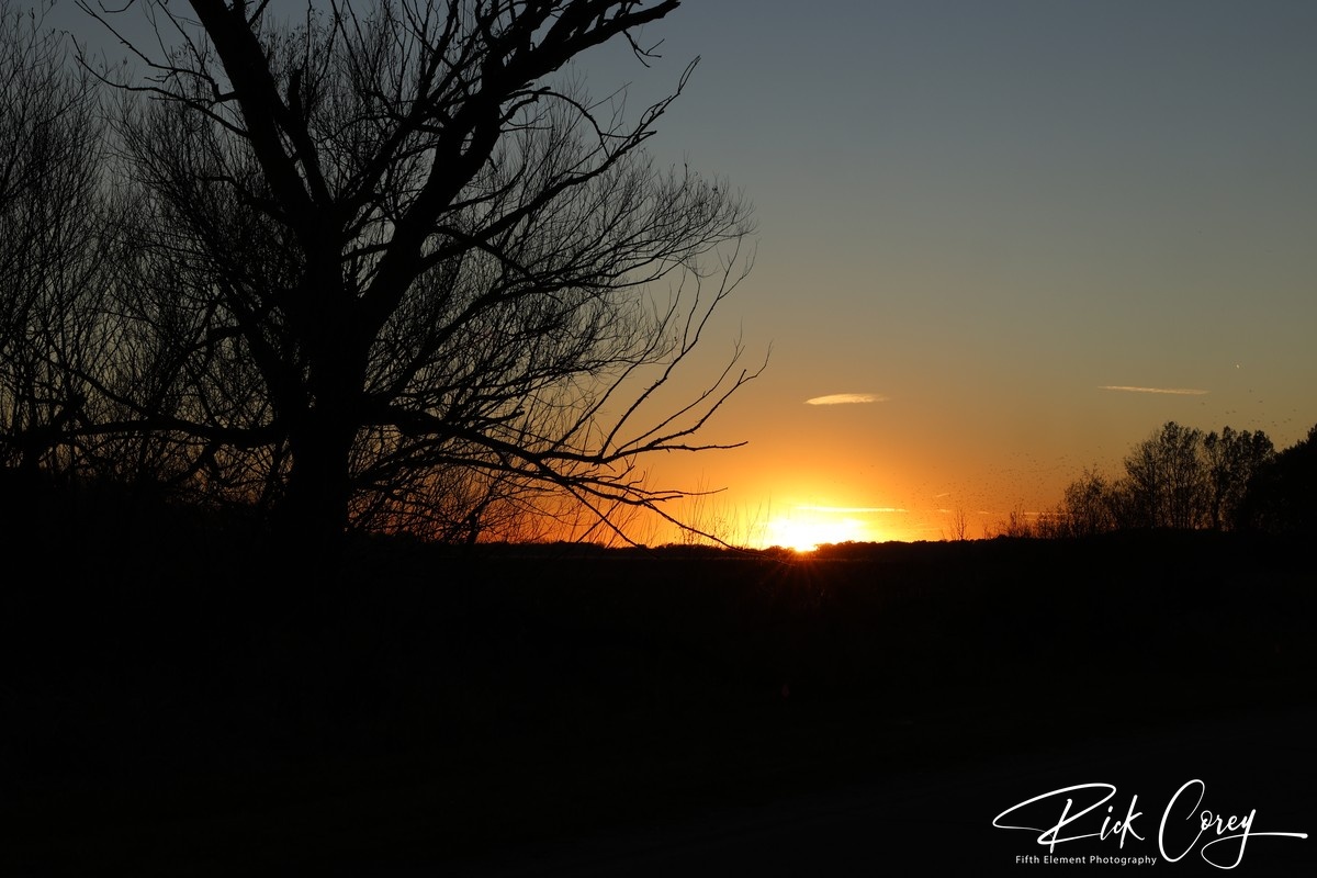 Sunset Silhouette: Bring the Drama Home