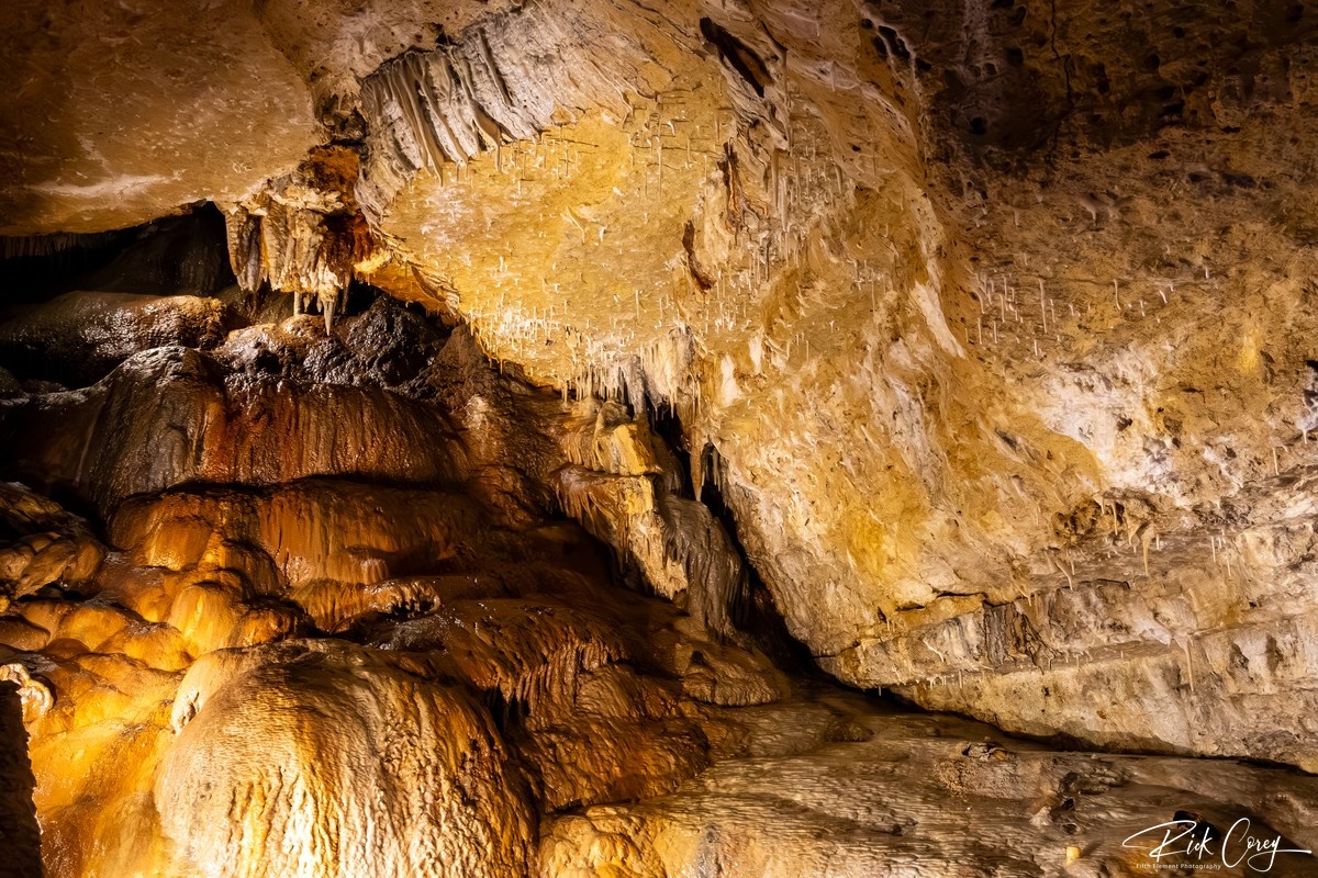 Entrance to Middle Earth