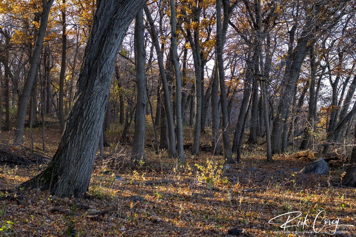 Turville Bay Walkabout