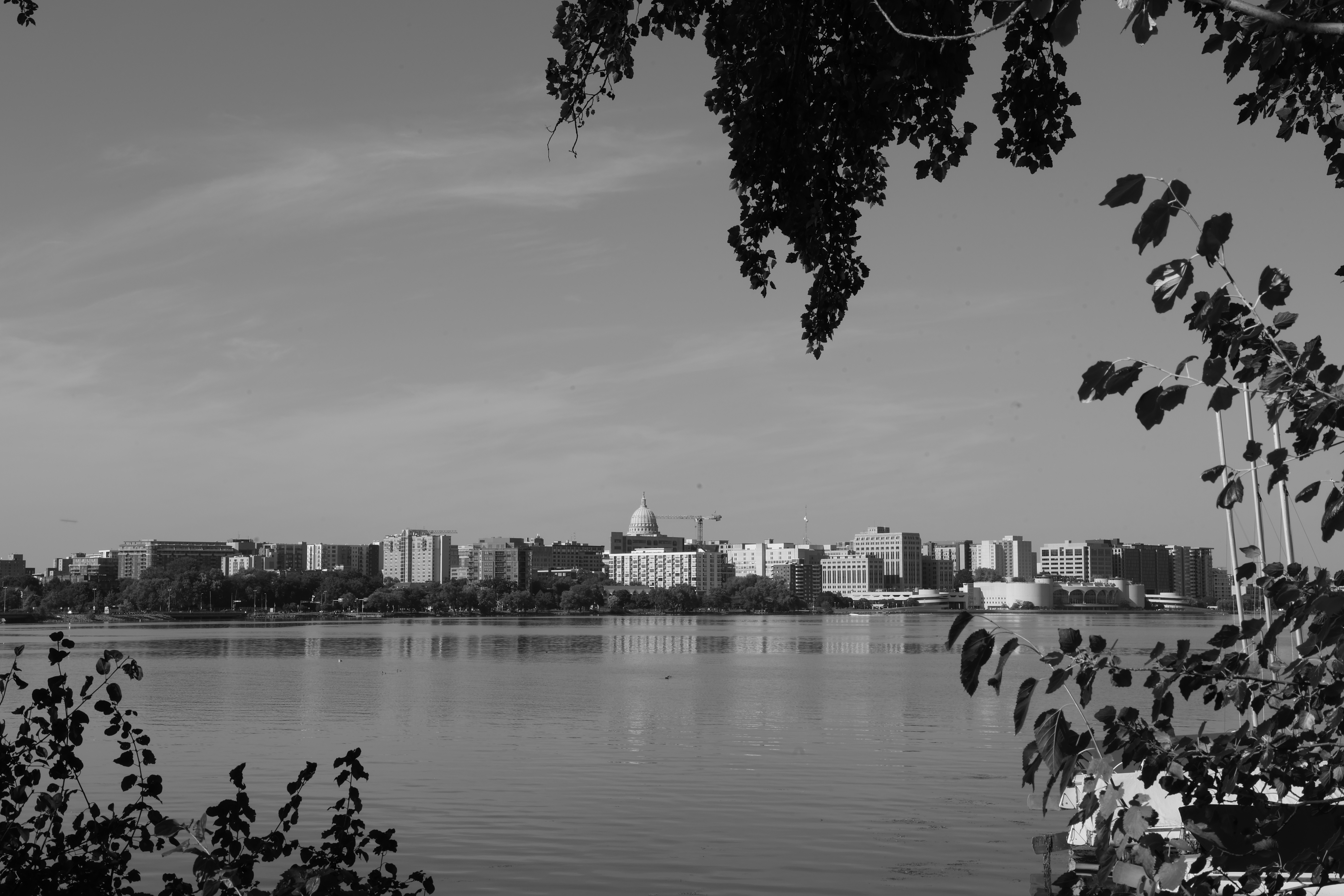 MG_0011.JPG