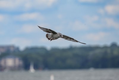1759025157 Img86531