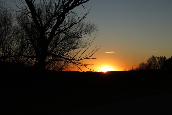 Sunset Silhouette: Bring the Drama Home