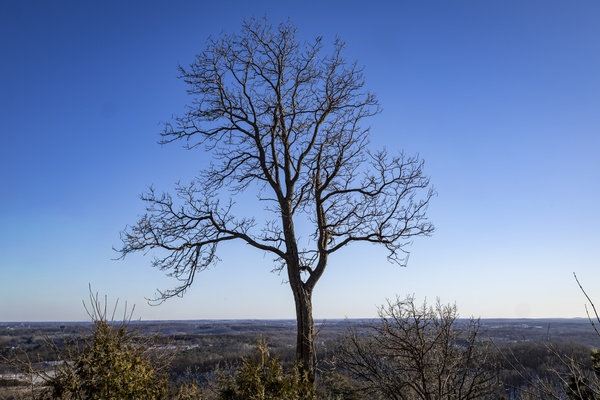 The Spirit of the High Plains