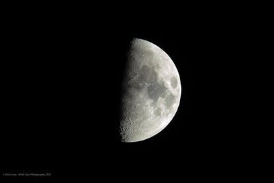 Moonshot