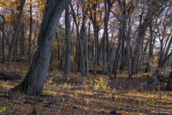 Turville Bay Walkabout