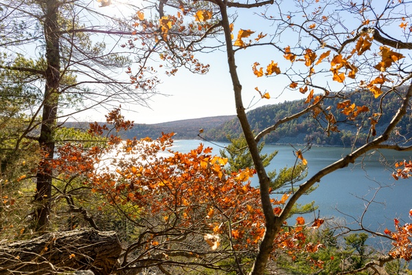 Baraboo Bluffs in Autumn Gold